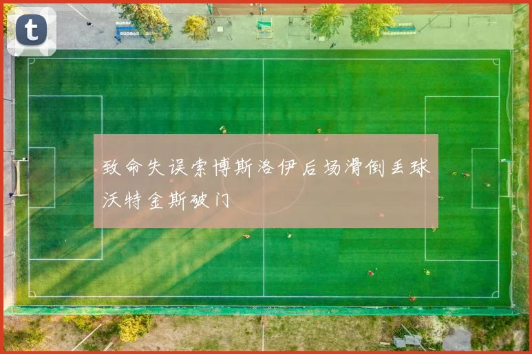 致命失误索博斯洛伊后场滑倒丢球沃特金斯破门